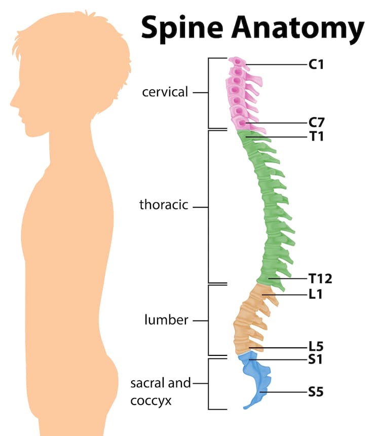 Spinal surgery