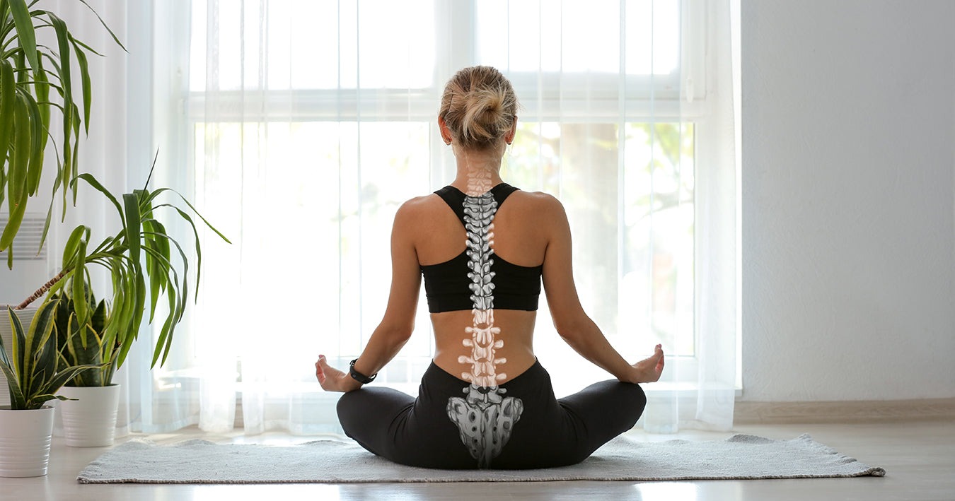 Basics Of Spine Health